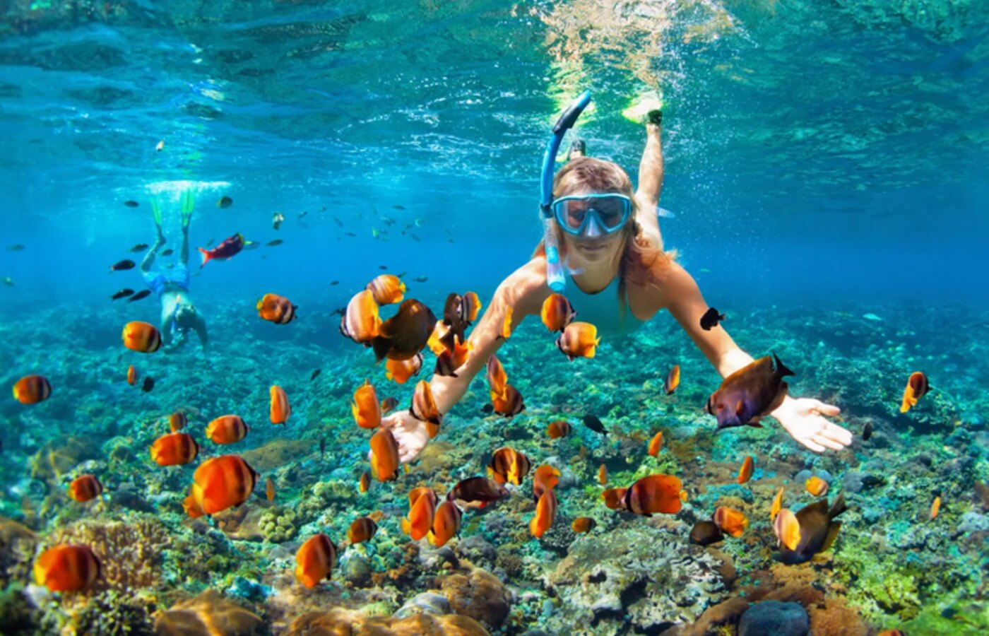 🏝️ Isla catalina + Snorkel