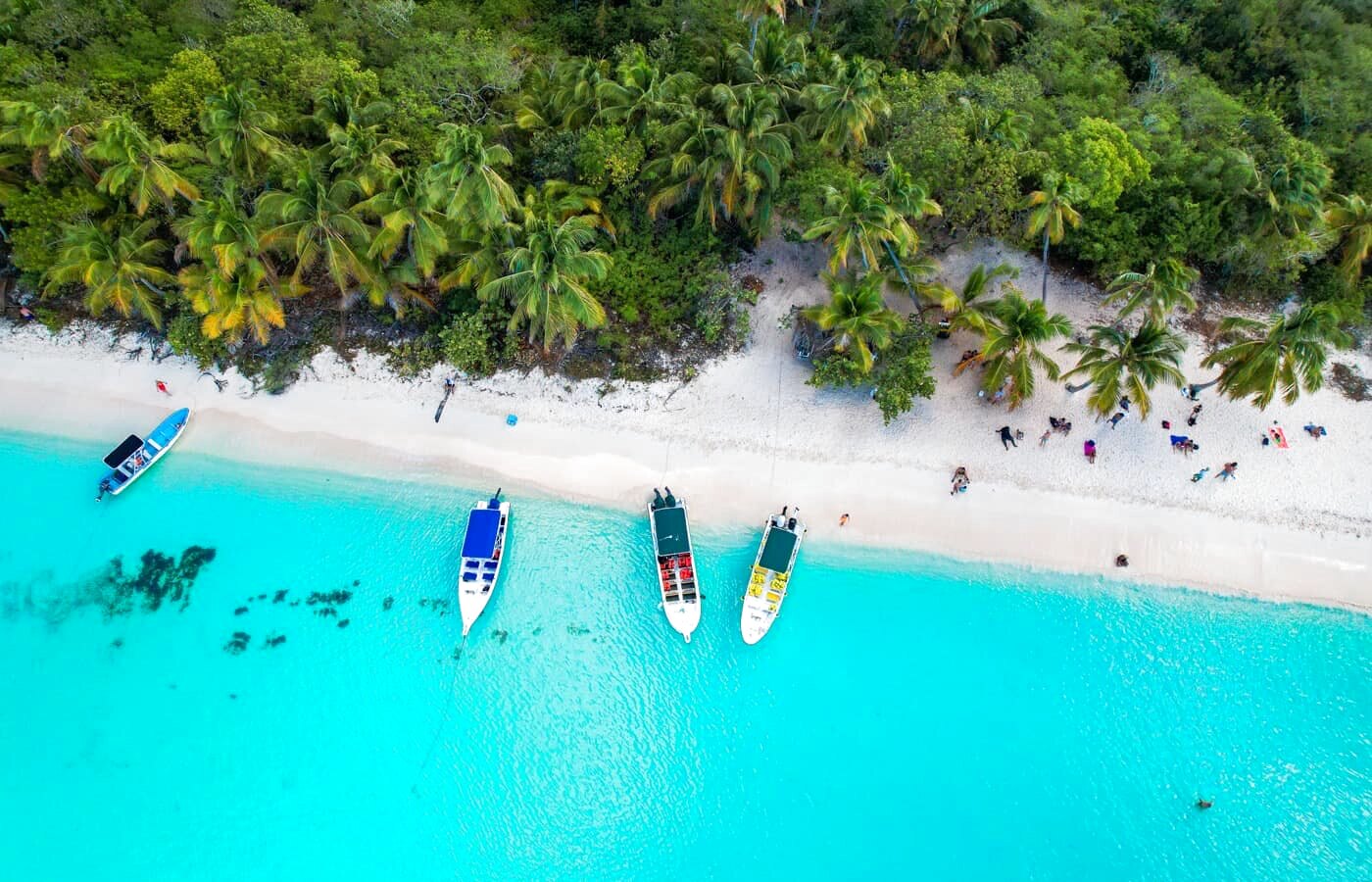 Isla Saona Tour Privado