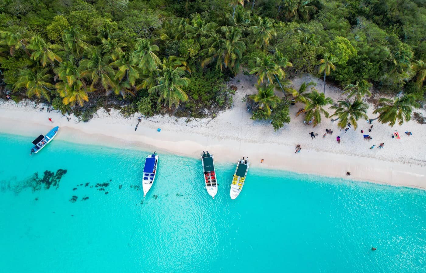 🏝️ ISLA SAONA VIP 4 PAYAS 🚤